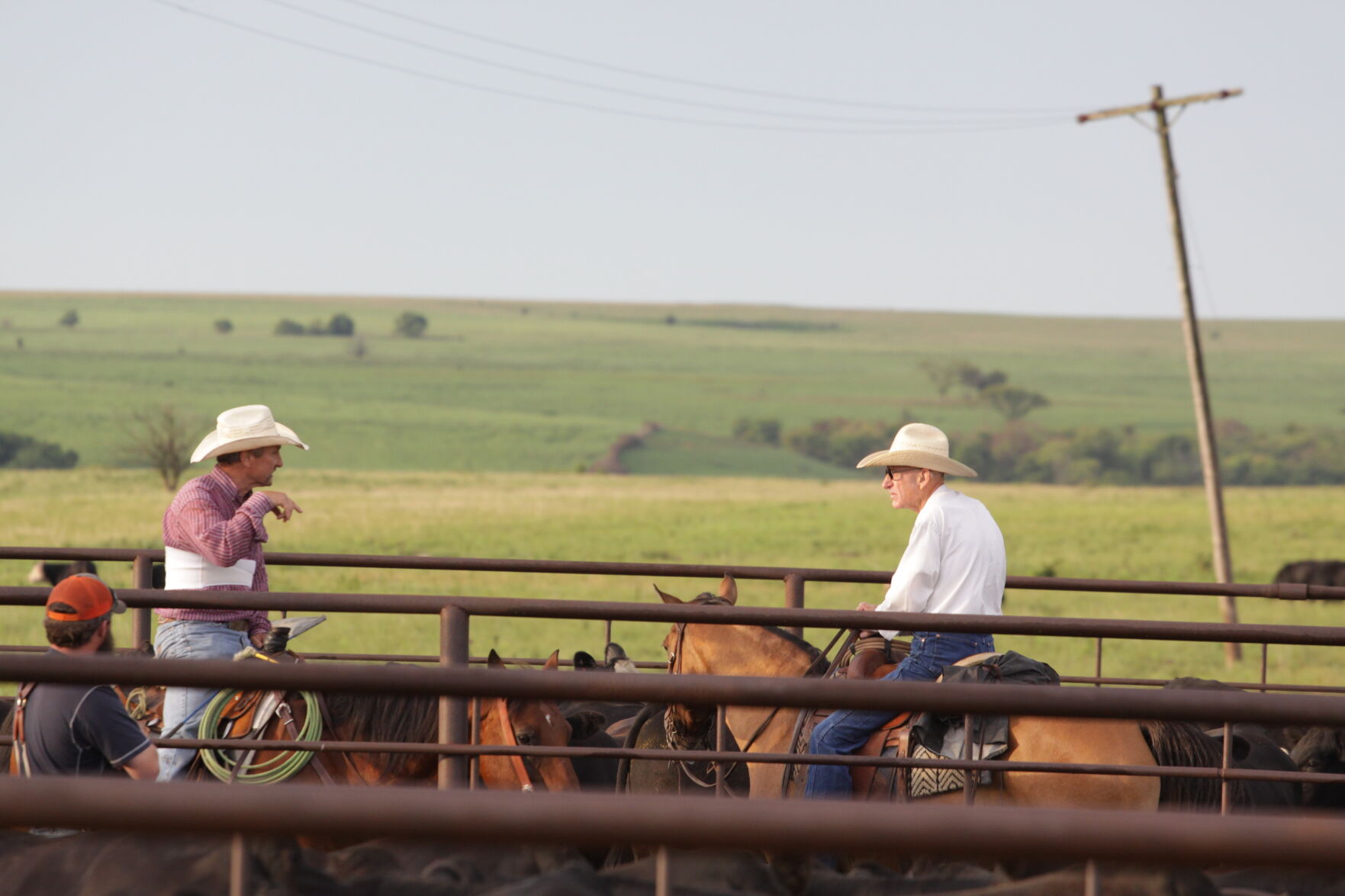 Wiggins Roundup Pens